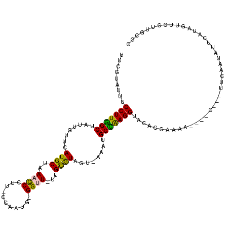 secondary structure