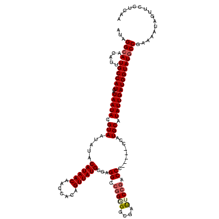 secondary structure