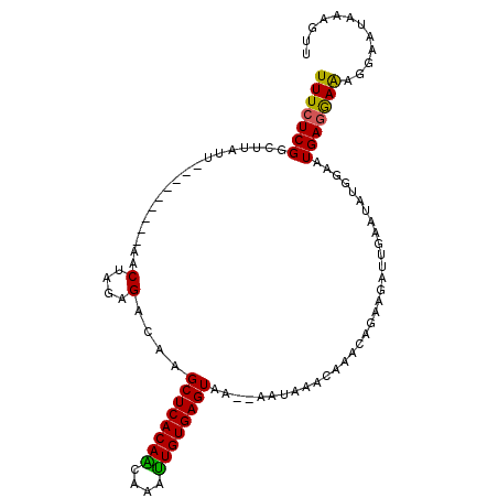 secondary structure