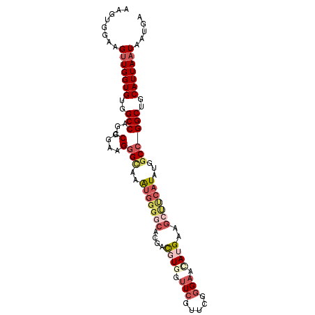secondary structure
