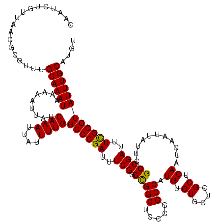 secondary structure