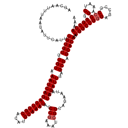 secondary structure