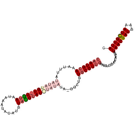 secondary structure