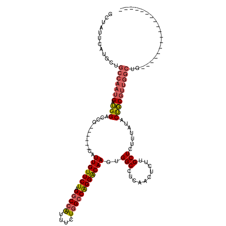 secondary structure