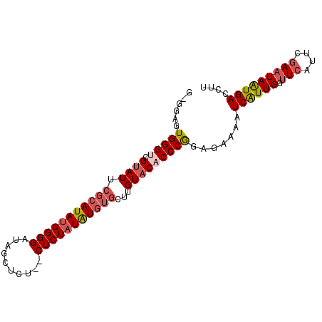 secondary structure
