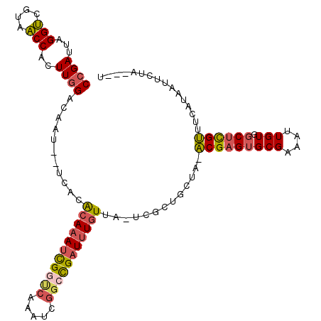 secondary structure
