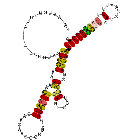 secondary structure