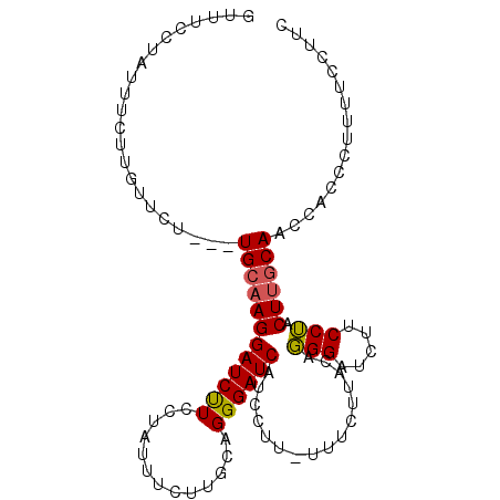 secondary structure