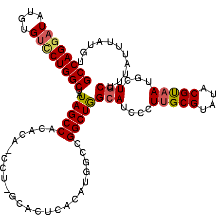 secondary structure