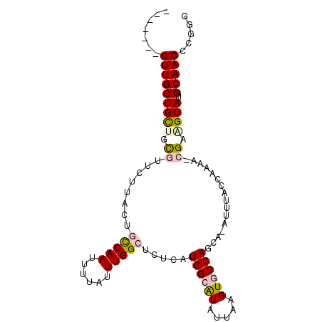 secondary structure