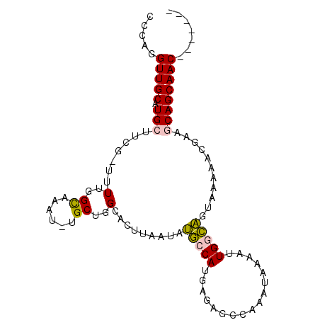 secondary structure