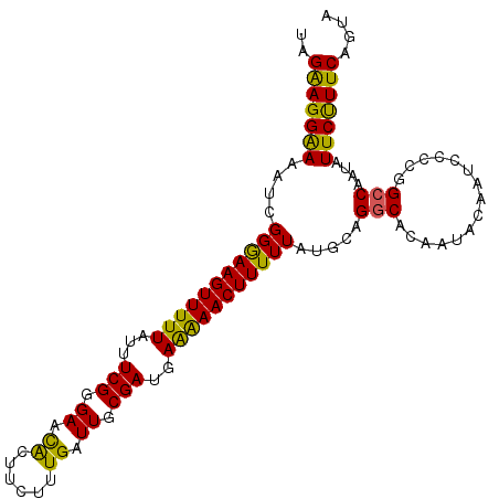 secondary structure