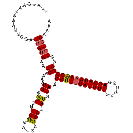 secondary structure