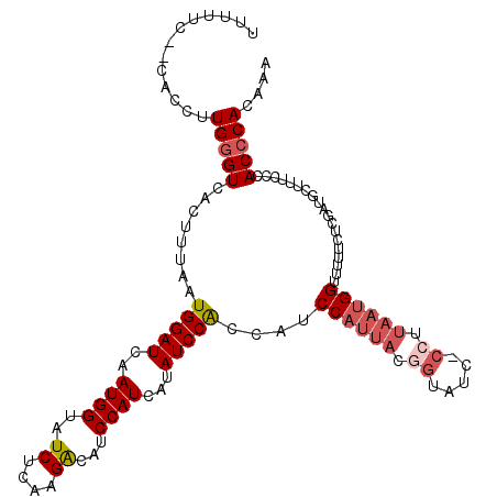 secondary structure