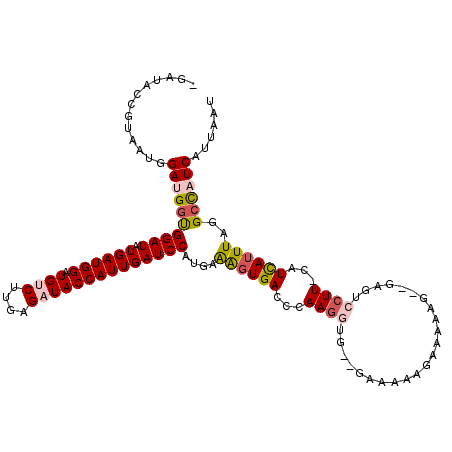 secondary structure