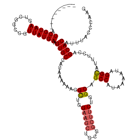 secondary structure