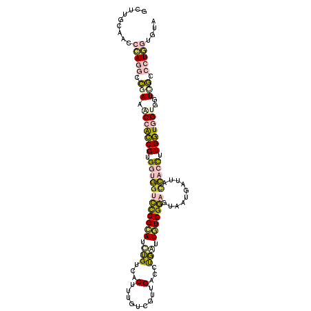 secondary structure