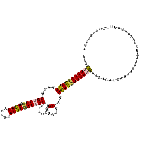 secondary structure