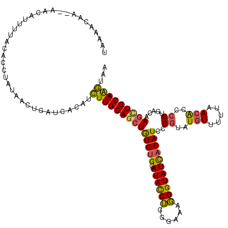 secondary structure