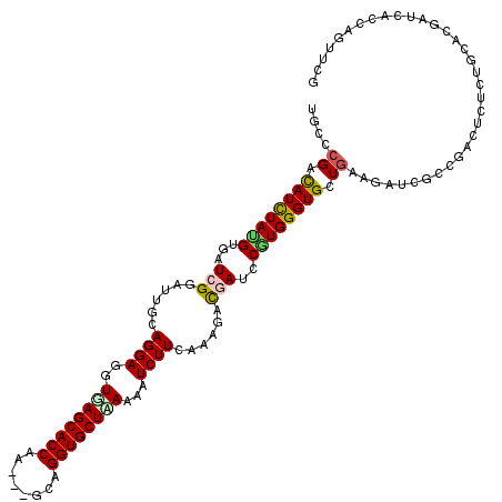 secondary structure