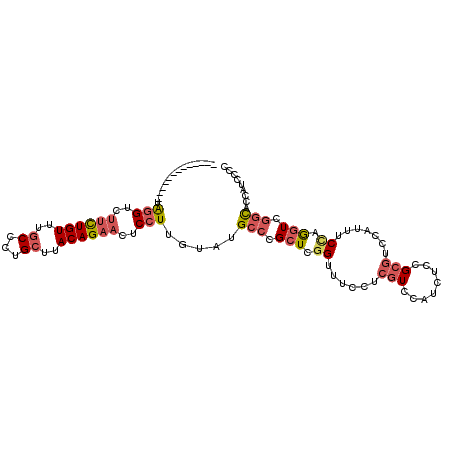 secondary structure