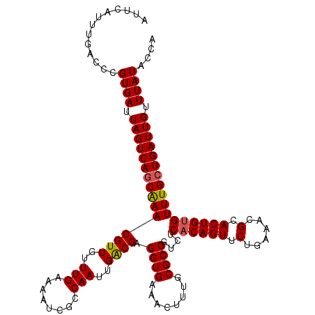 secondary structure