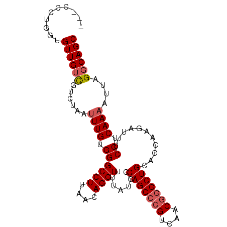 secondary structure