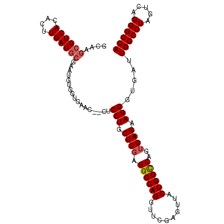 secondary structure