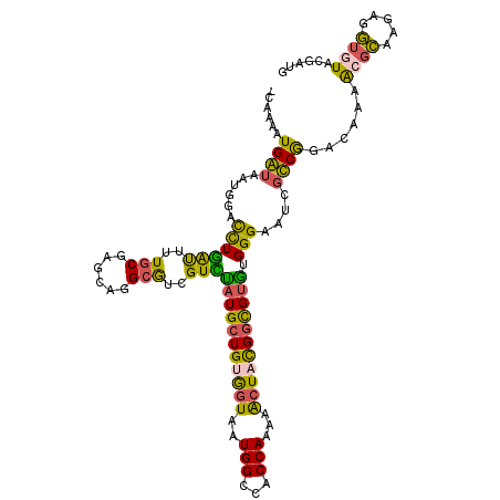 secondary structure