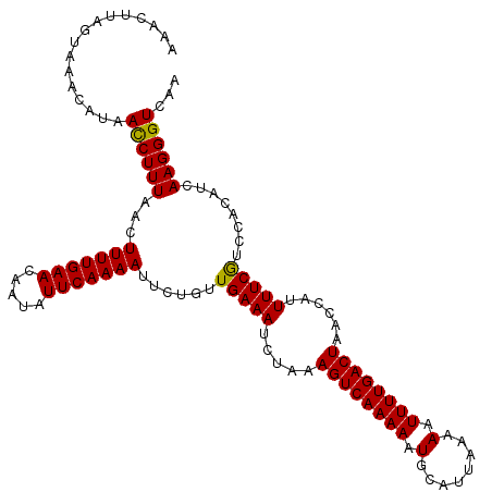 secondary structure