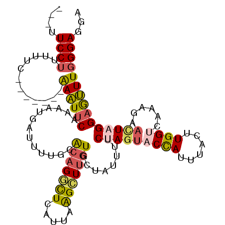 secondary structure
