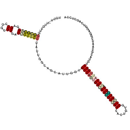 secondary structure