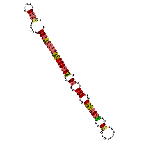 secondary structure