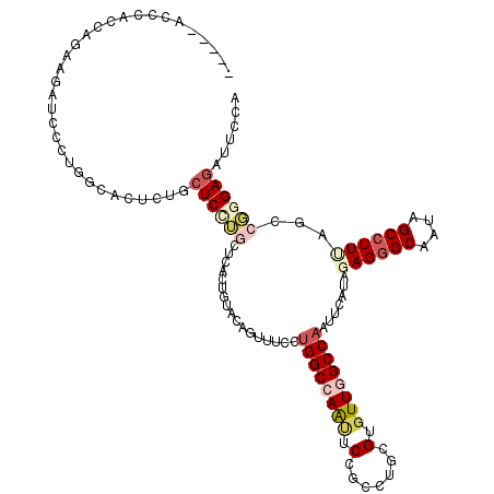 secondary structure