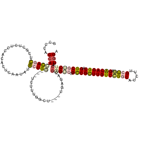secondary structure