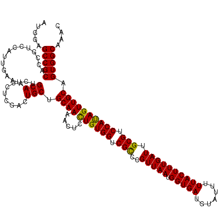secondary structure
