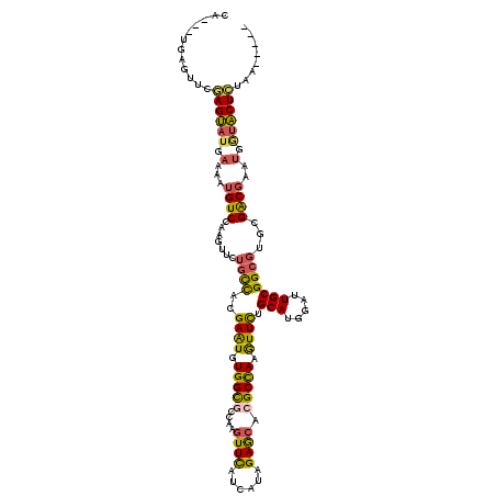 secondary structure