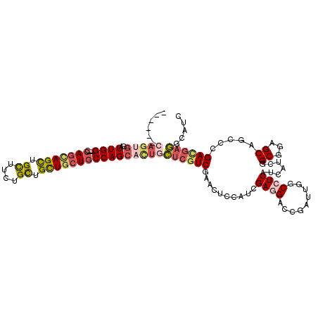secondary structure
