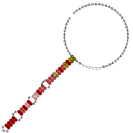 secondary structure
