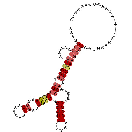 secondary structure