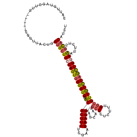 secondary structure