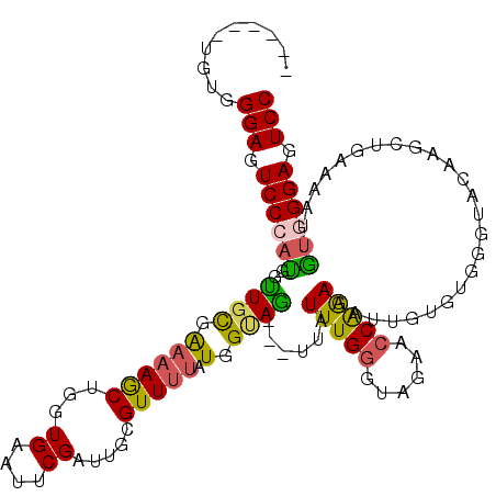 secondary structure