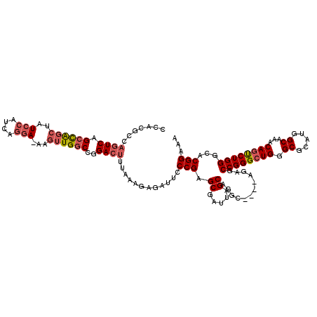 secondary structure