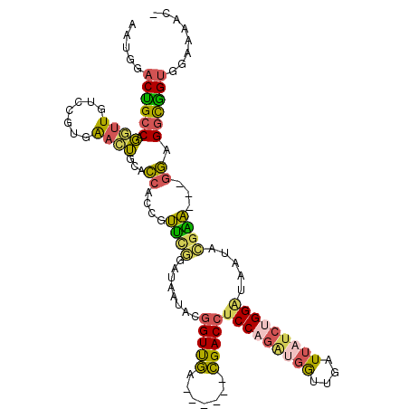 secondary structure