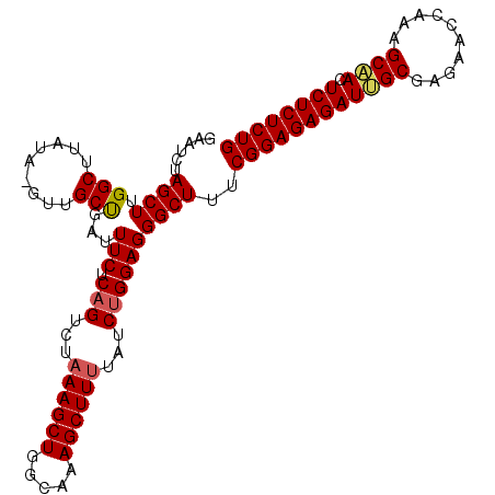 secondary structure