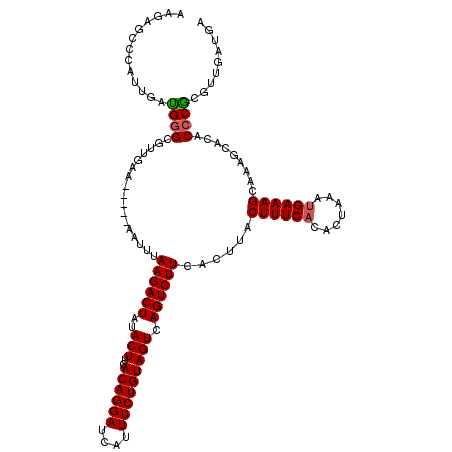 secondary structure
