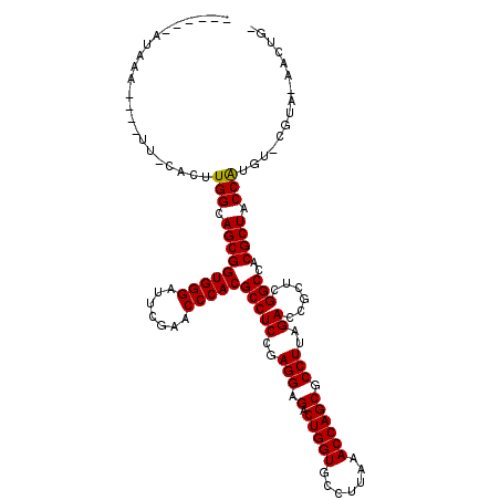 secondary structure