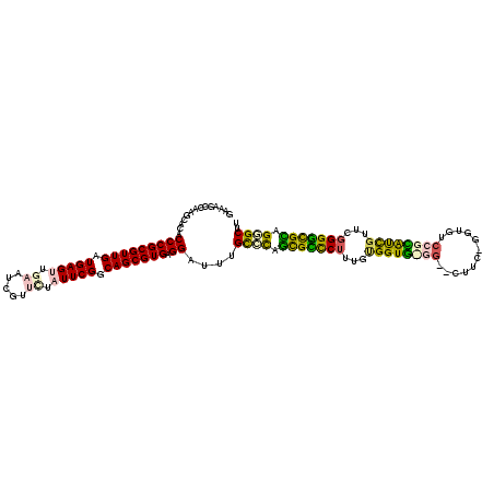 secondary structure