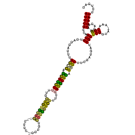 secondary structure