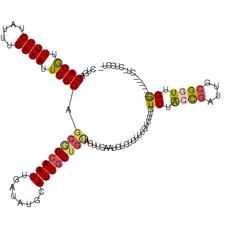 secondary structure